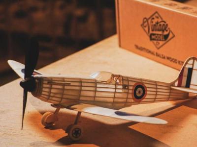 Model Aircraft