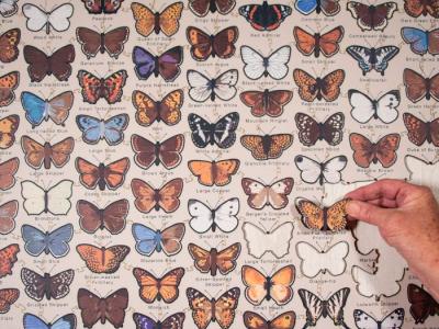 Butterfly puzzle