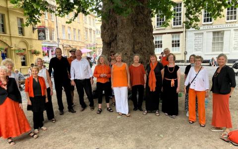 Group of people by a tree