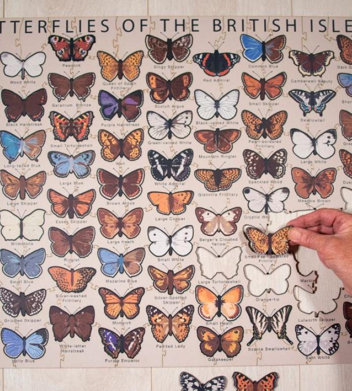 Butterfly puzzle