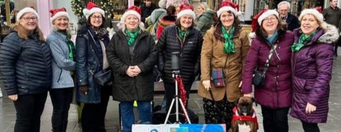 The Harmonics charity choir